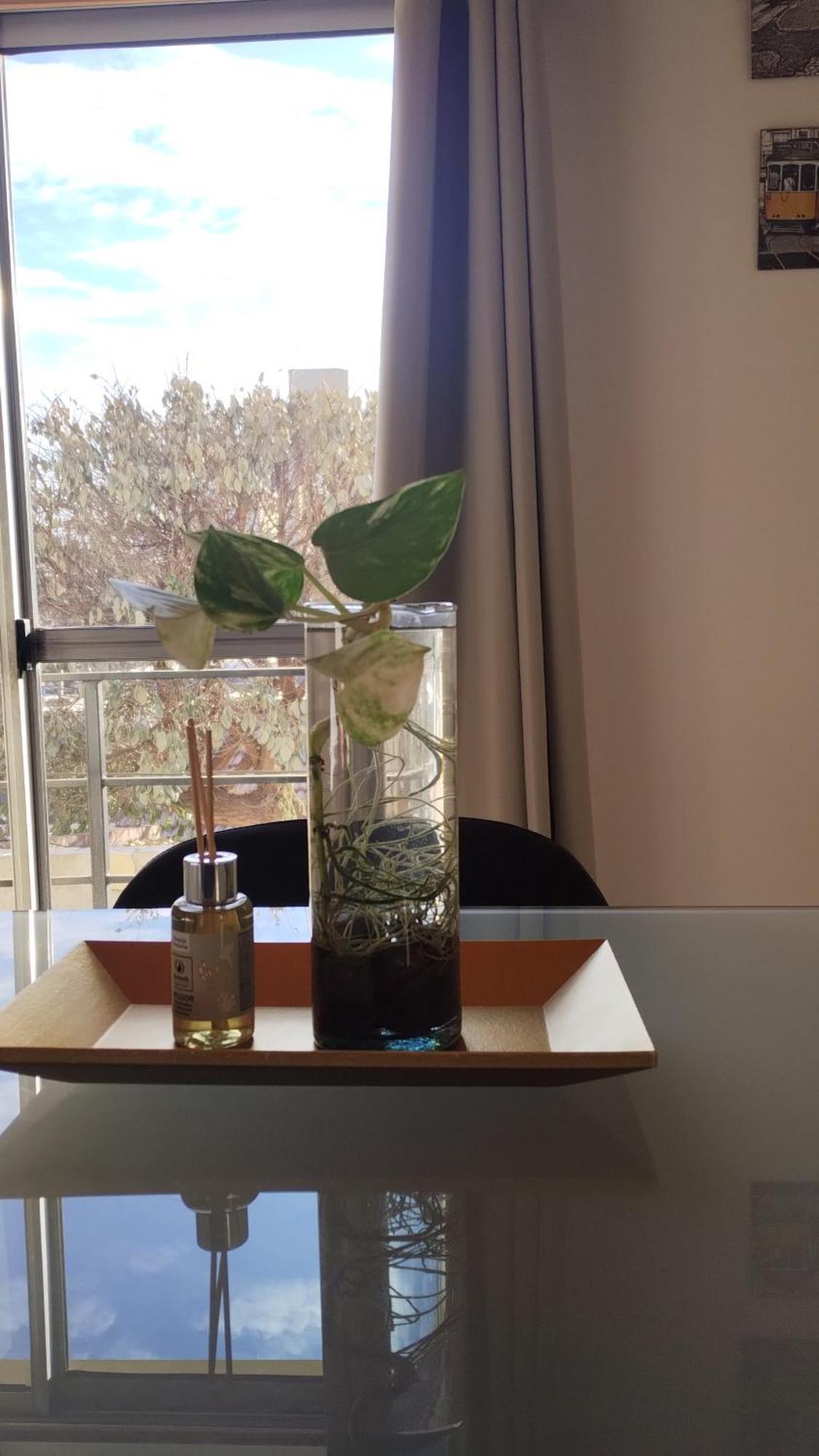 Departamento Apartment